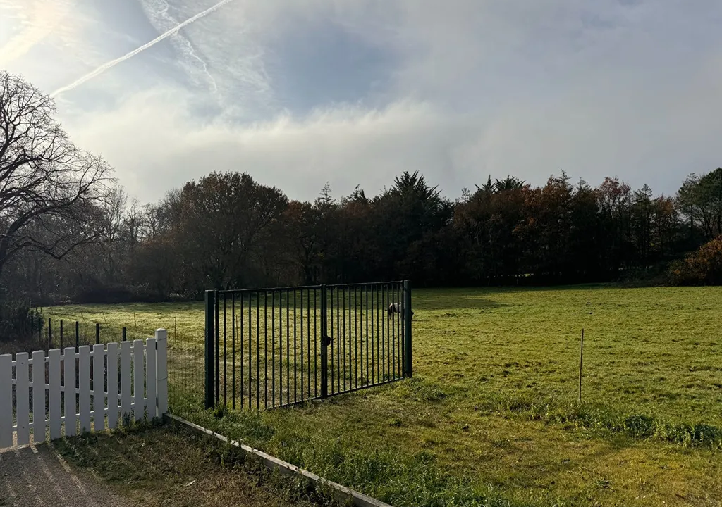 vaire4