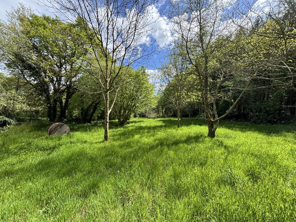 Terrain arboré 6600 m² Poiroux