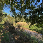 Terrain avec un étang – 1510 m2 Talmont-Saint-Hilaire