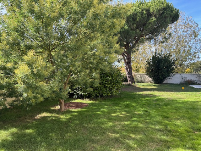 Terrain constructible hors lotissement Talmont-Saint-Hilaire 1